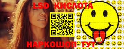 шишки Ставрополь