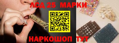 шишки Ставрополь