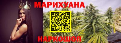 шишки Ставрополь