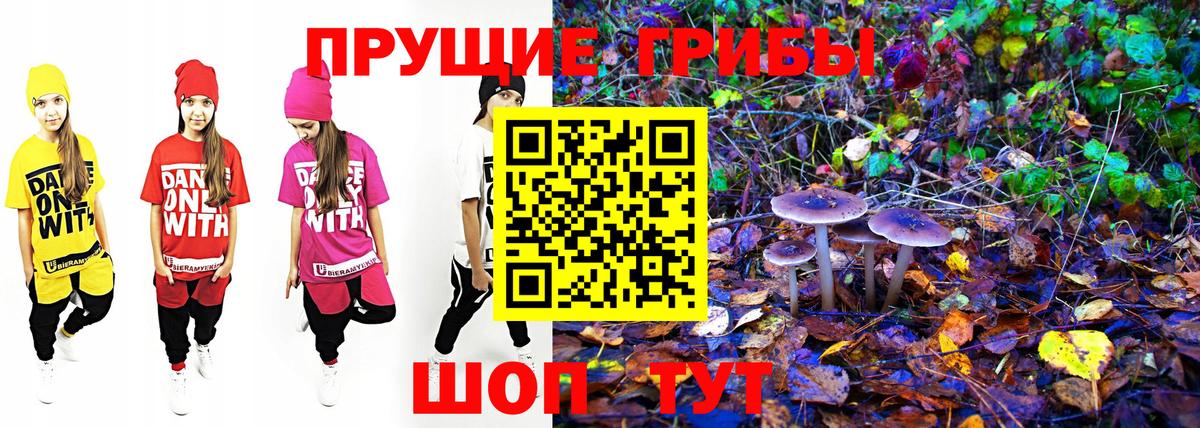 Галлюциногенные грибы Psilocybine cubensis Нижний Новгород